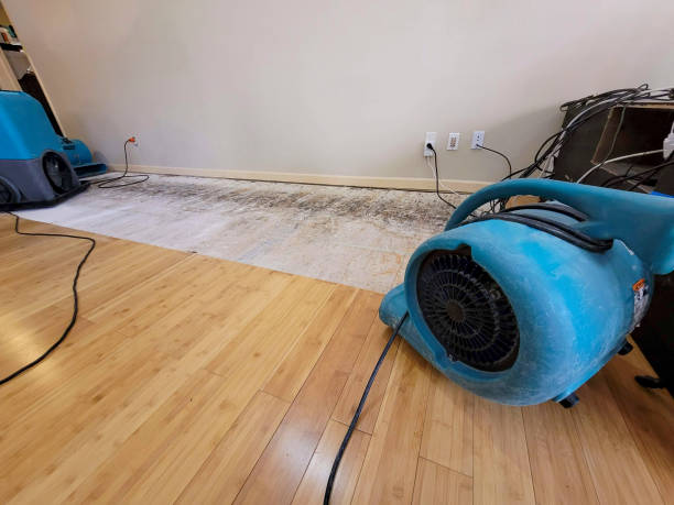 Professional Water Damage Repair technician working in Farrell, PA