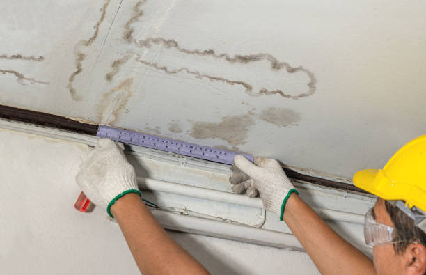 Affordable Water Damage Repair solutions in Farrell, PA